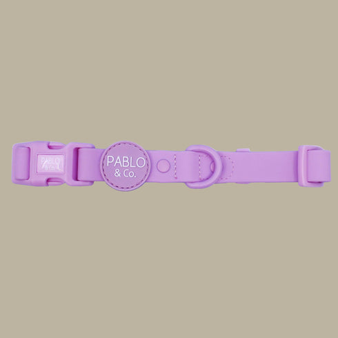 Pablo & Co. LAVENDER Waterproof Collar